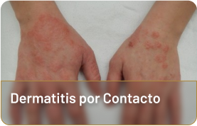 dm-c (5)