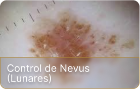 dm-oncologica (4)