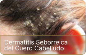 dm-tricologia (2)
