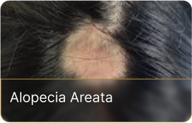 dm-tricologia (4)